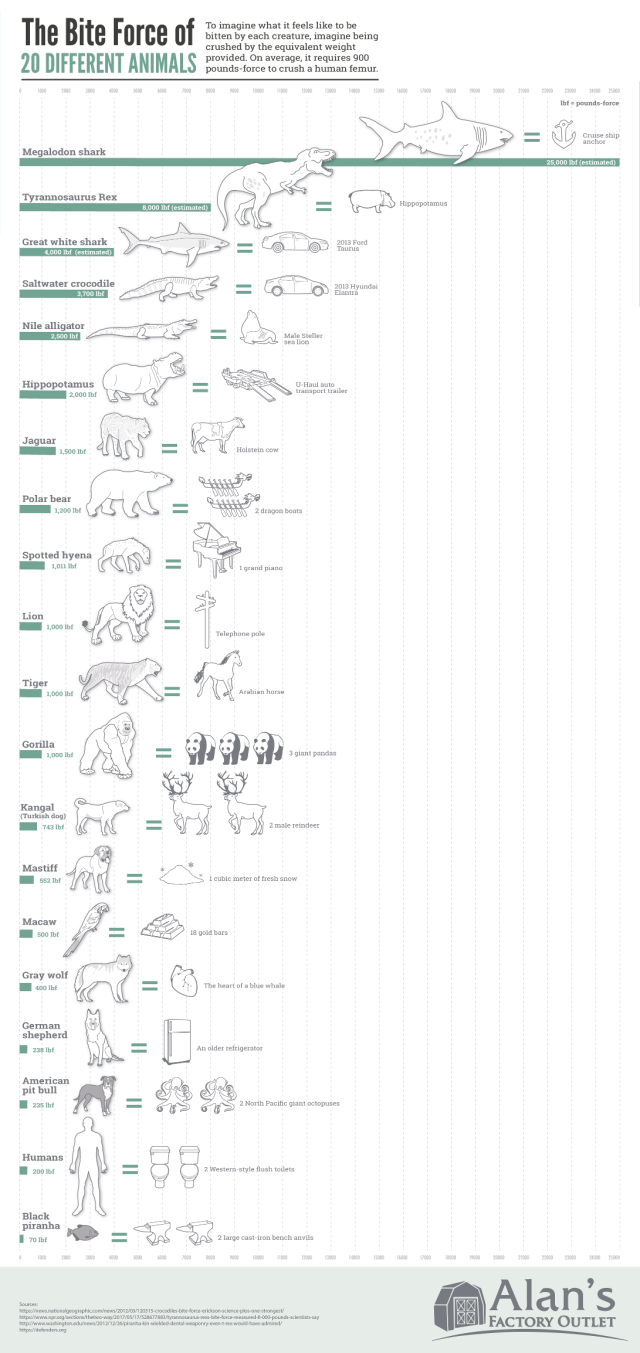 bite-force-of-20-different-animals-3.png