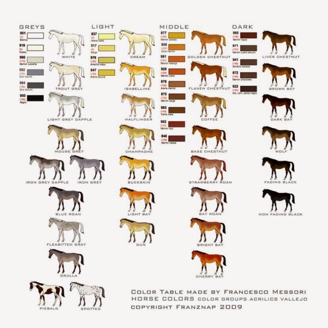 horse-colorsmap